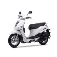 Delight 125 (125Cc)