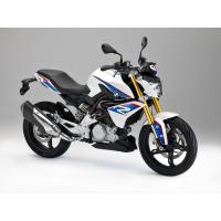 G310 R (310Cc)