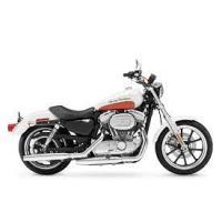 Xl883 Sportster /Superlow (883Cc)